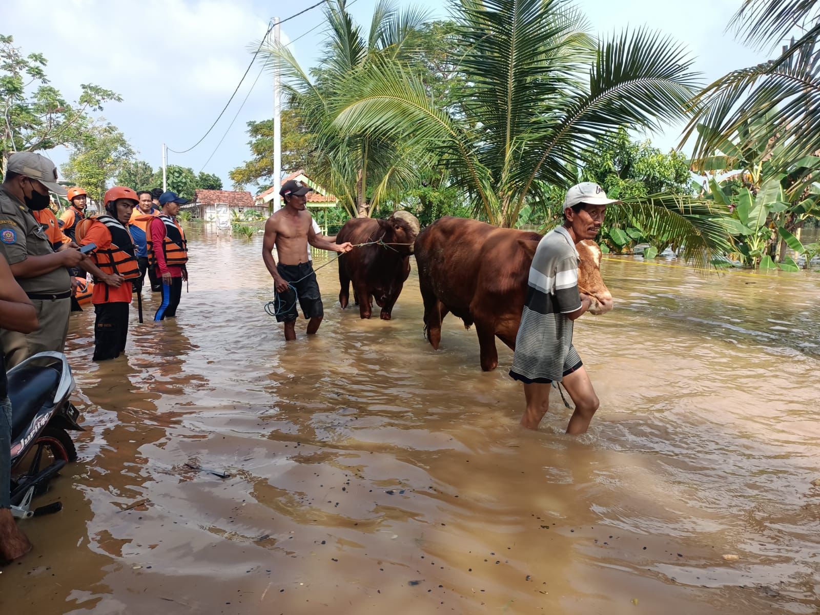 Berita Jatim